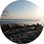 Karl-Heinrich Starke profile picture